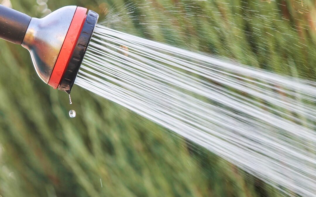 Summer Water Conservation Tips: Maximizing Efficiency with Water Storage Tanks